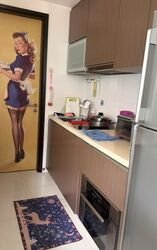 Mount Sophia Suites (D9), Apartment #469754761